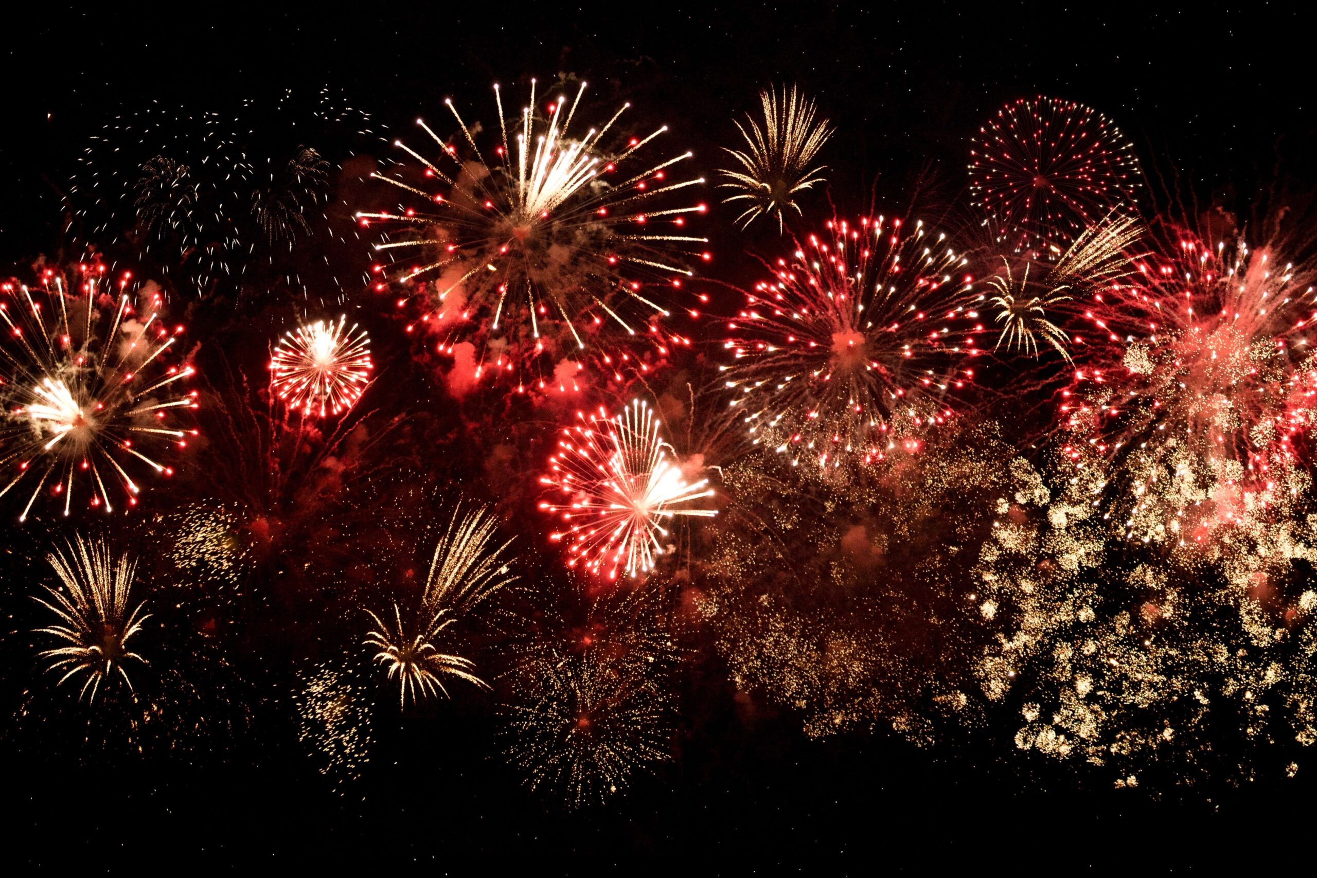 fireworks exploding over a dark sky